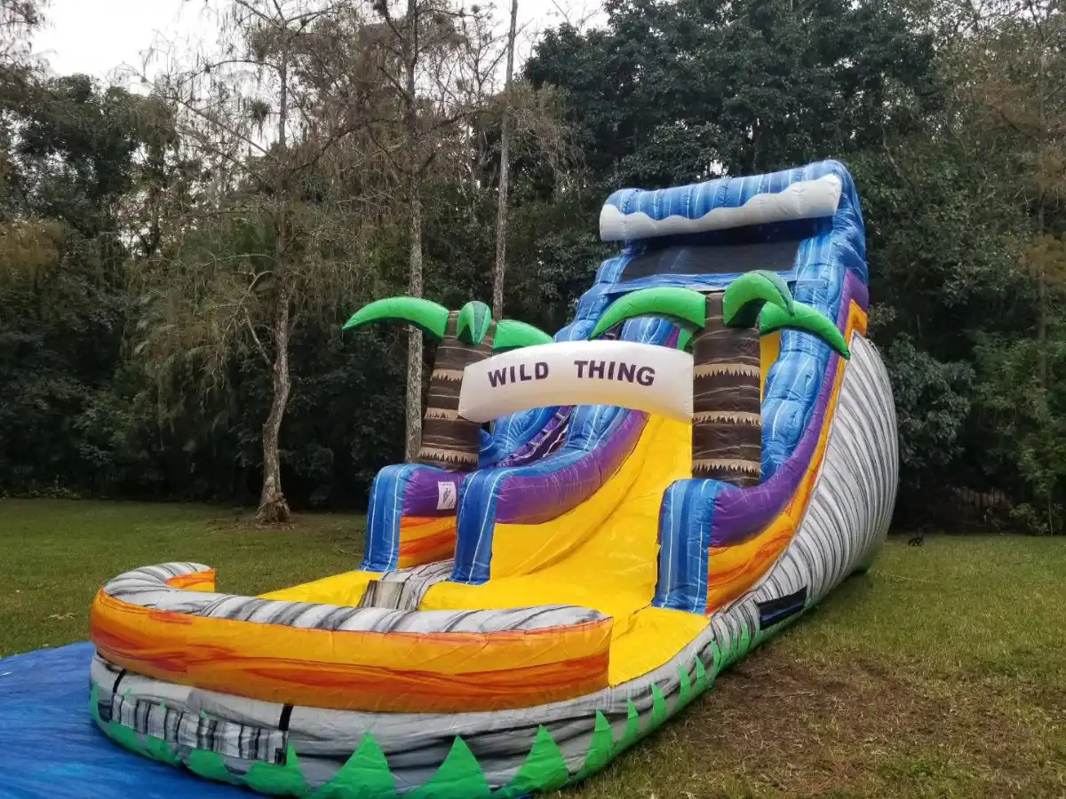 Wild Thing Water Slide - Image 2